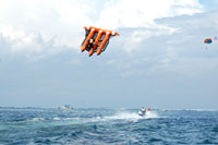 Flying Fish