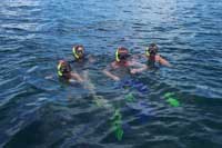 Snorkeling